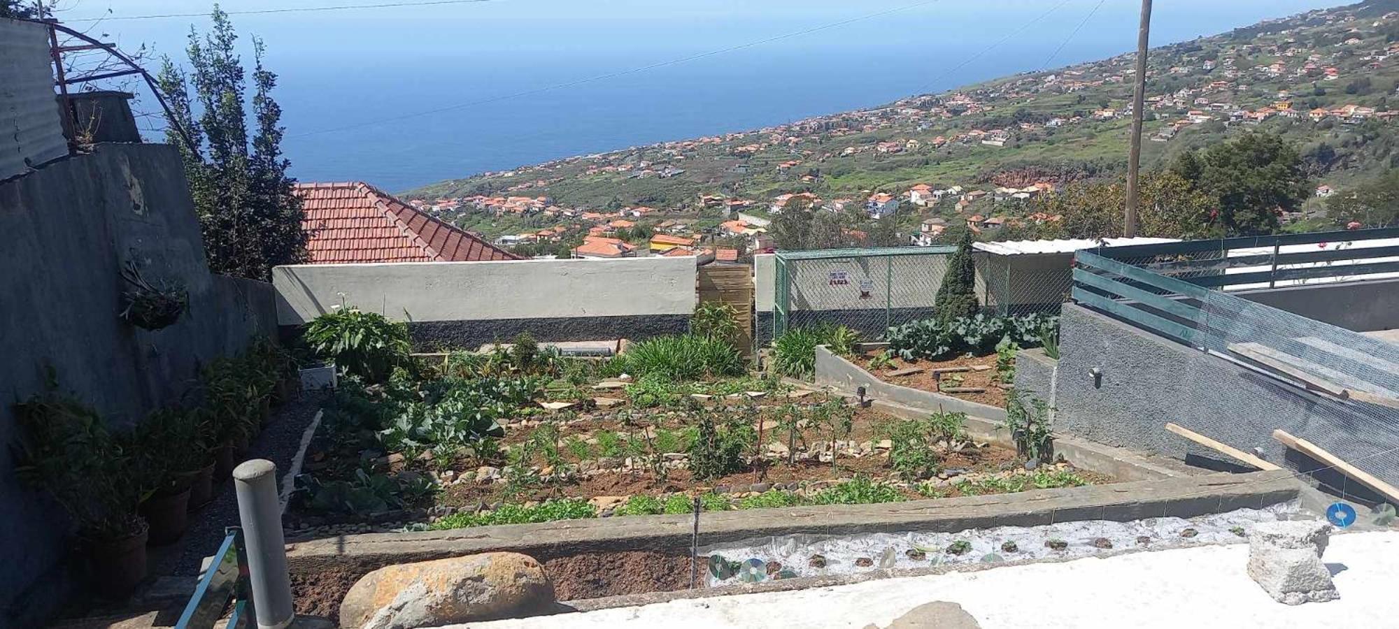 Casa Monte De Paz Calheta  Extérieur photo